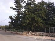 Gavalochori Blick auf Wald und Landschaft auf Kreta Grundstück kaufen